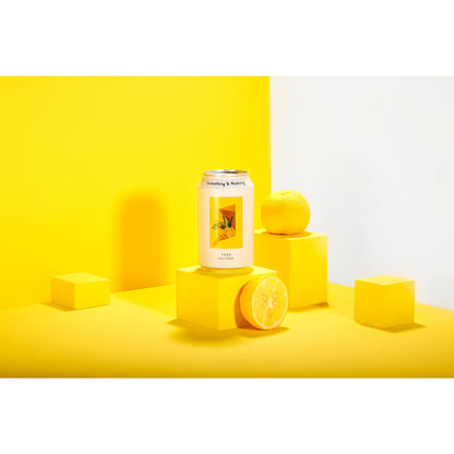 Something & Nothing - Yuzu Seltzer