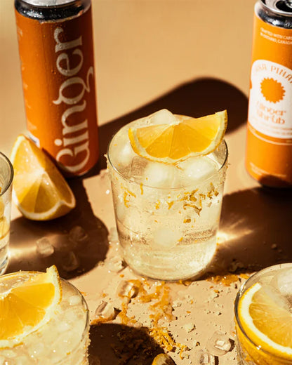 Casa Piñata - Ginger Shrub
